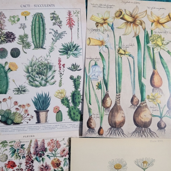 DIY Wall Collage Kit with double sided Wall adhesives DIY Dorm Room Wall Decor - Picture 5 of 7